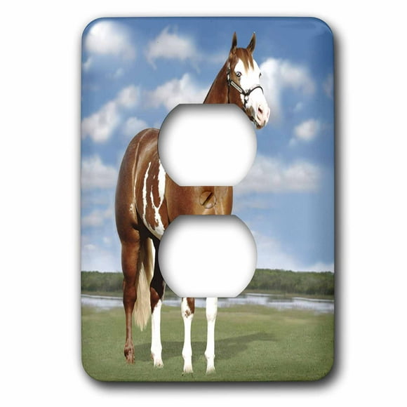 3dRose lsp_52652_6 A Horse Grazing Outlet Cover 3dRose lsp_52652_6 A Horse Grazing Outlet Cover